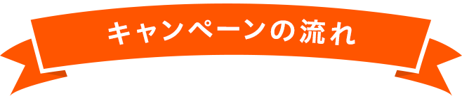 キャンペーンの流れ