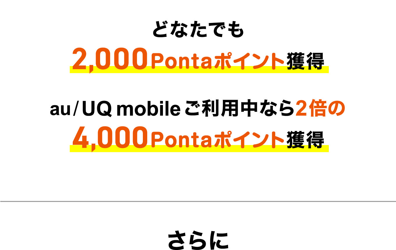 ポイント獲得についての詳細