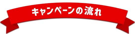 キャンペーンの流れ