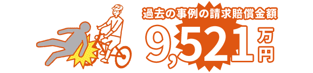 過去の事例の請求賠償金額 9,521万円